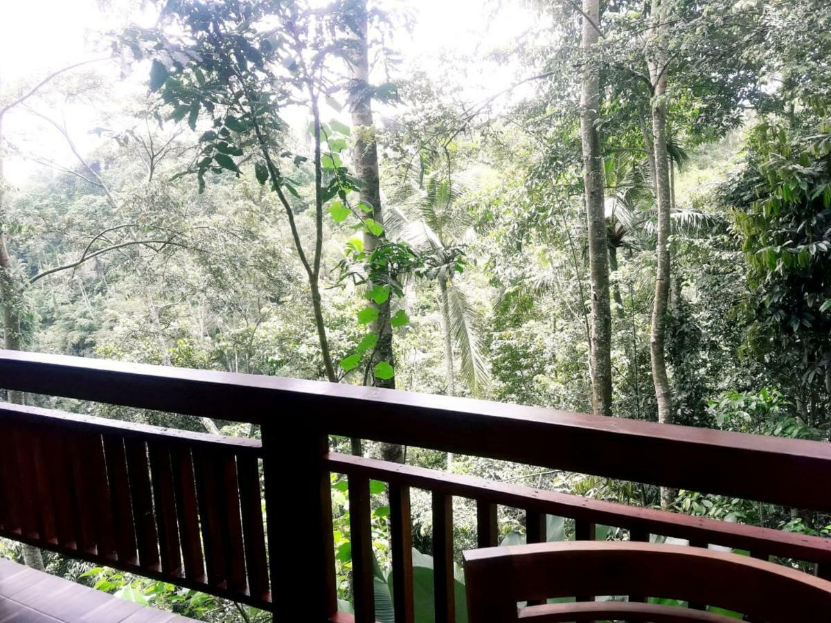 Ubud River Side House Ubud (Bali) Exterior photo